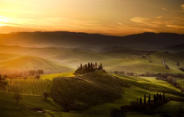 Картинка Italy, Tuscany, San Quirico d'Orcia