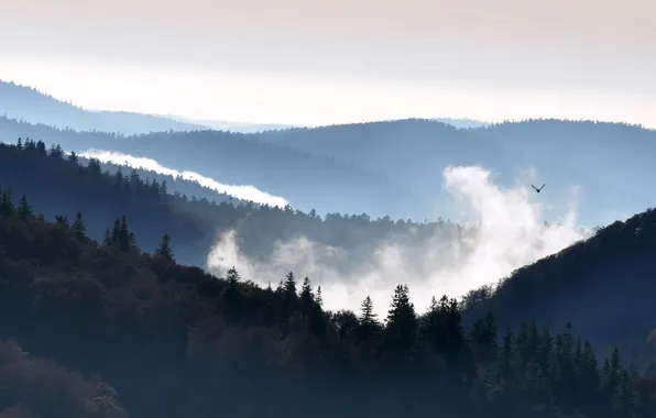 Небо, пейзаж, горы