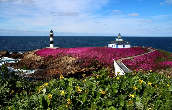 Картинка море, цветы, скалы, побережье, маяк, Испания, Spain, Ribadeo