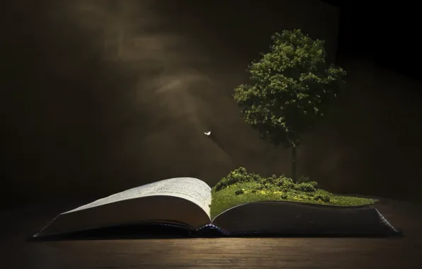 Деревья, фон, книга
