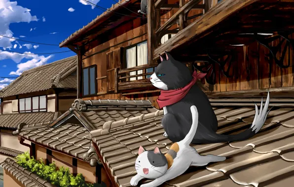Картинка крыша, коты, nyan koi