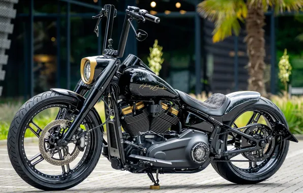 Картинка Front, Harley-Davidson, Tuning, Softail, Customized, Fat Boy, Thunderbike, Custombikes