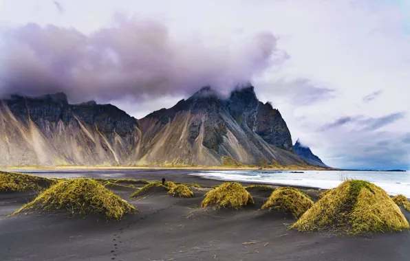 Пляж, трава, облака, пейзаж, горы, природа, Исландия, фьорд