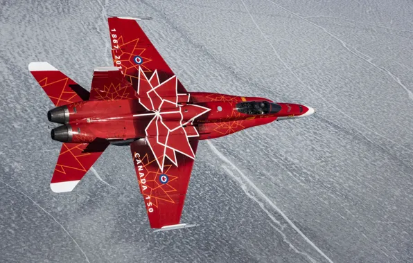 Истребитель, Hornet, Хорнет, CF-18