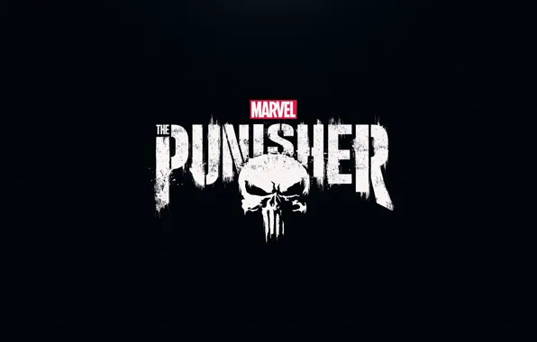 Cinema, skull, logo, Marvel, movie, assassin, film, The Punisher