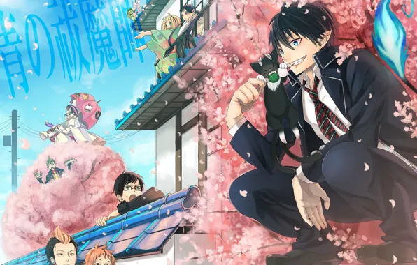 Весна, аниме, Сакура, арт, Лепестки, парень, персонажи, Ao no Exorcist