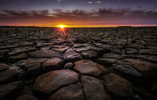 Закат, природа, Netherlands, Frise, Dongeradeel