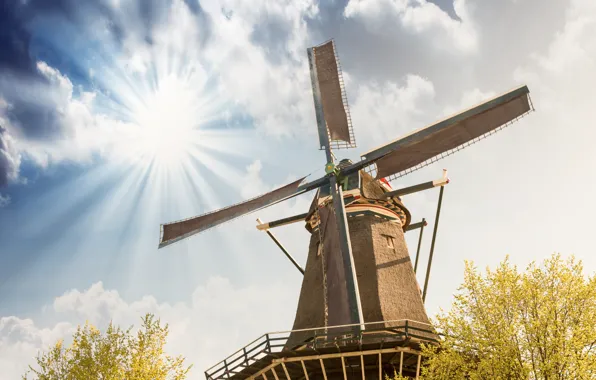 Картинка поле, небо, мельница