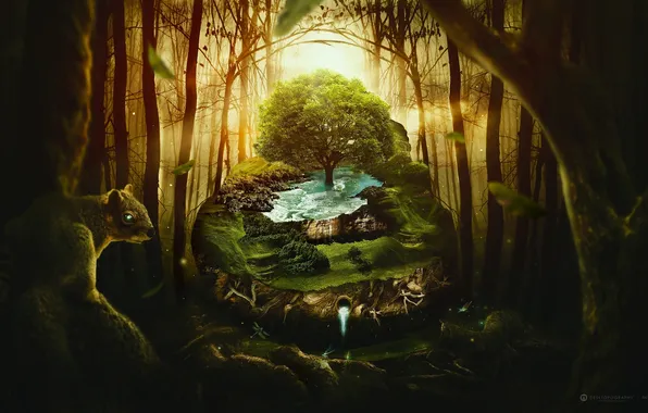 Картинка лес, вода, креатив, дерево, белка, desktopography