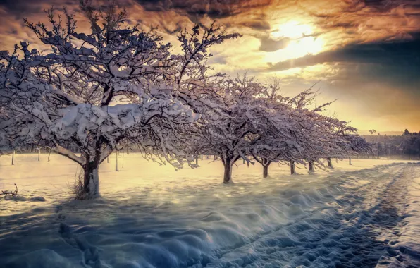 Картинка зима, небо, облака, снег, пейзаж, природа, восход