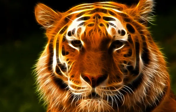 Взгляд, морда, тигр, 3D графика