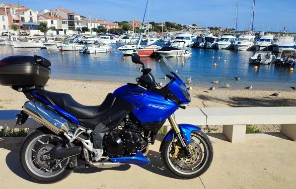 Tiger, sea, tiger, Triumph, triumph, 1050