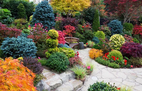 Деревья, цветы, скамейка, дизайн, Англия, сад, кусты, Walsall Garden