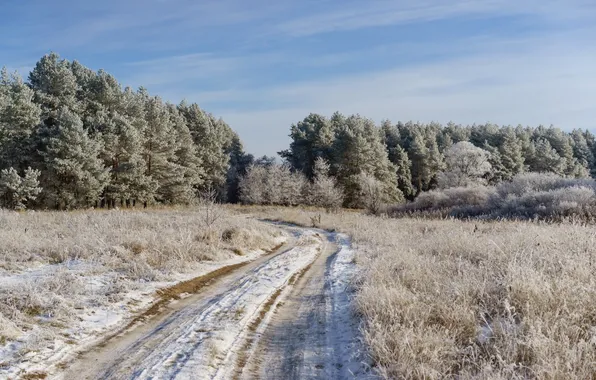 Иней, дорога, поле