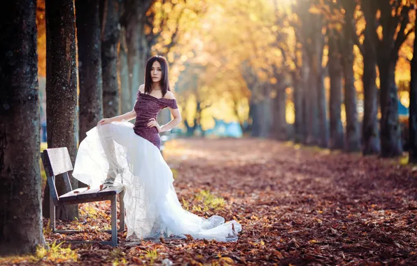 Картинка девушка, парк, скамья