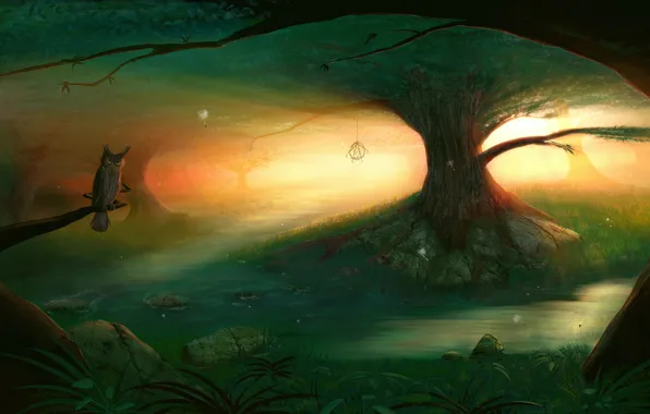 Картинка сова, Dream, лес дерево