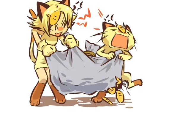 Кошки, деньги, драка, белый фон, мешок, ушки, Pokemon, мяут