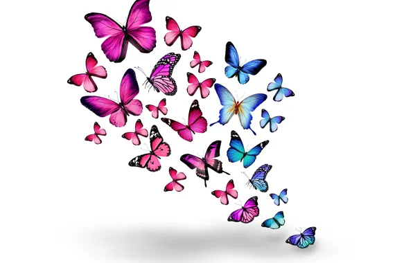 Бабочки, розовые, синие, blue, pink, butterflies