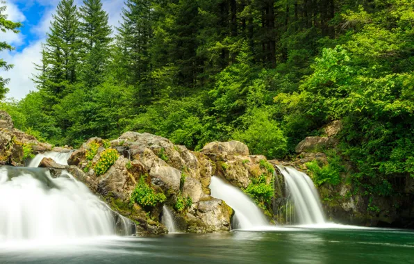 Картинка зелень, лес, солнце, деревья, парк, камни, водопад, США
