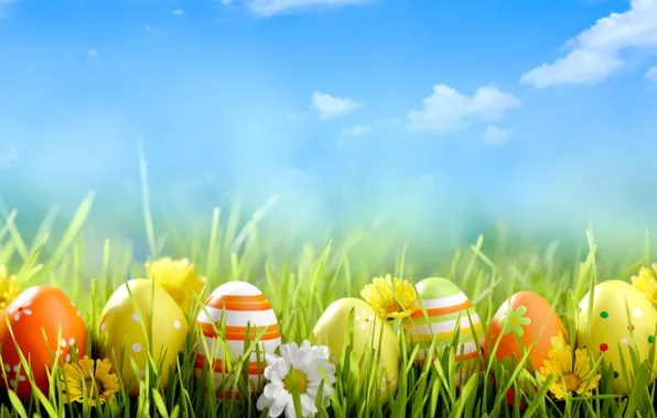 Картинка цветы, праздник, яйца, Пасха, травка