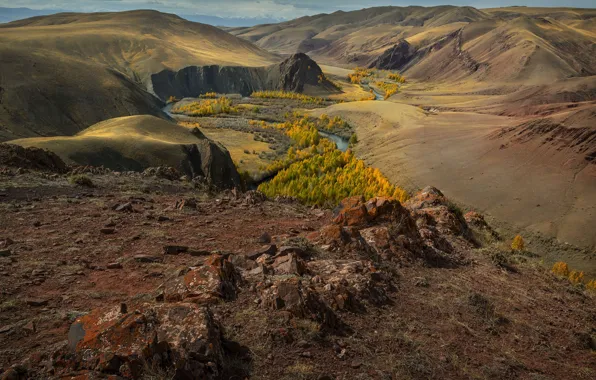 Осень, пейзаж, горы, природа, река, долина, леса, Алтай