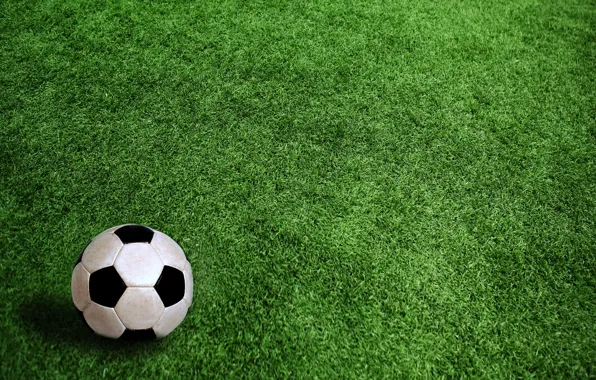 Картинка поле, трава, футбольный мяч