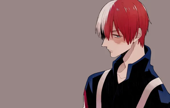Аниме, арт, парень, Boku no Hero Academia, Моя геройская академия, Todoroki Shouto