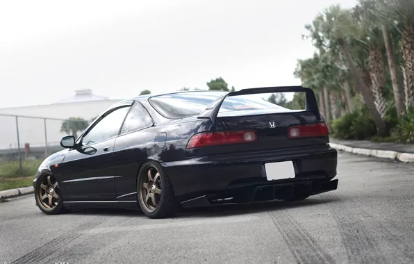 Honda Integra Wallpaper JDM