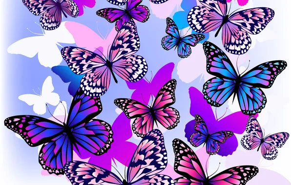 Картинка цвета, полет, бабочки, белый фон