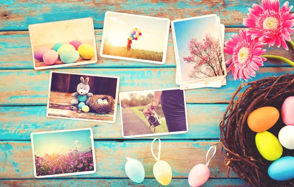 Цветы, фото, яйца, весна, камера, colorful, Пасха, герберы