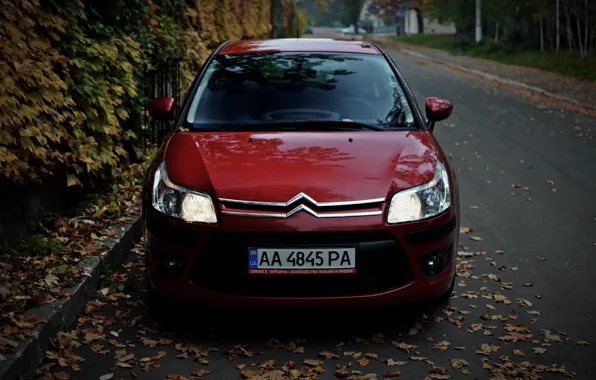 Машина, осень, листья, Ситроен, Citroen, Car, автомобиль, France
