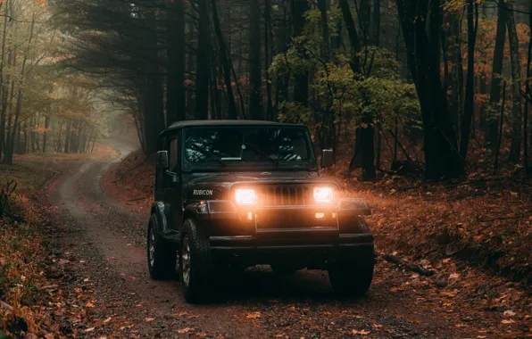Wood, Lights, Autumn, Wrangler, Jeep, Trees, Offroad, Joshua Hanson