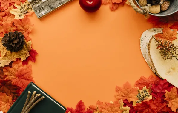 Картинка осень, листья, фон, дерево, colorful, клен, шишки, wood