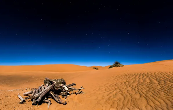 Картинка песок, небо, звезды, ночь, пустыня, Sahara, коряги, пустыня Сахара