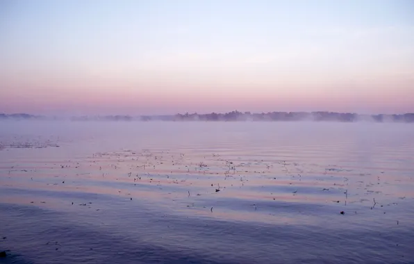 Вода, гладь, река, рассвет, рыбалка, утро, дымка, тишь