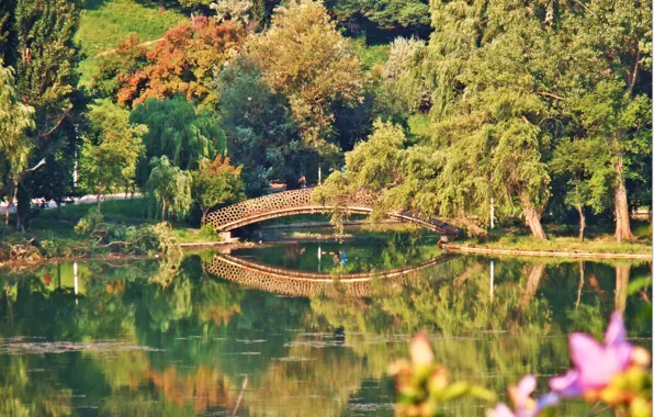 Картинка осень, мост, озеро, bridge, Autumn, lake, fall