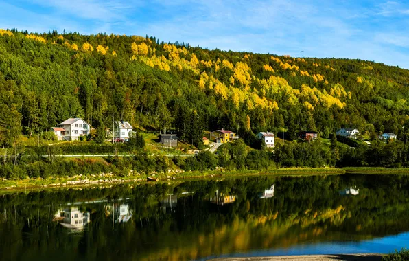 Картинка лес, небо, деревья, отражение, дома, склон, залив, норвегия