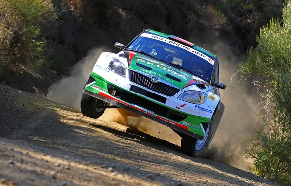 Картинка Авто, Спорт, Фары, WRC, Rally, Передок, Skoda, Fabia