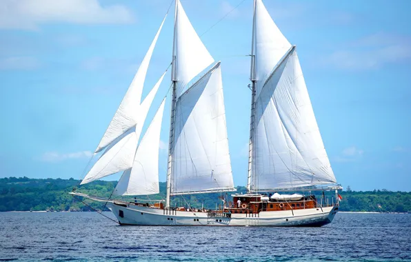 Корабль, парусное судно, yacht sailing in Asia