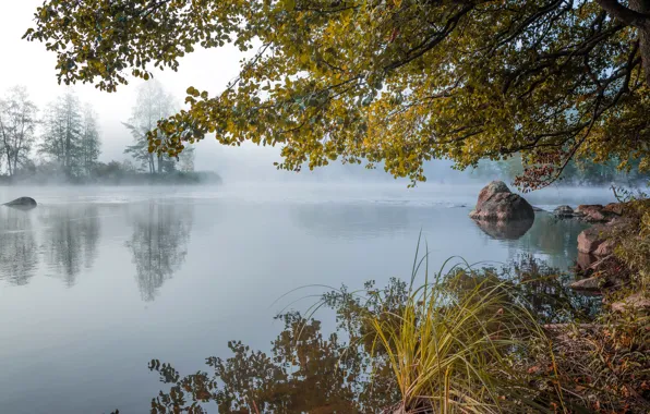 Картинка осень, лес, туман, озеро, пруд, камни, рассвет, утро