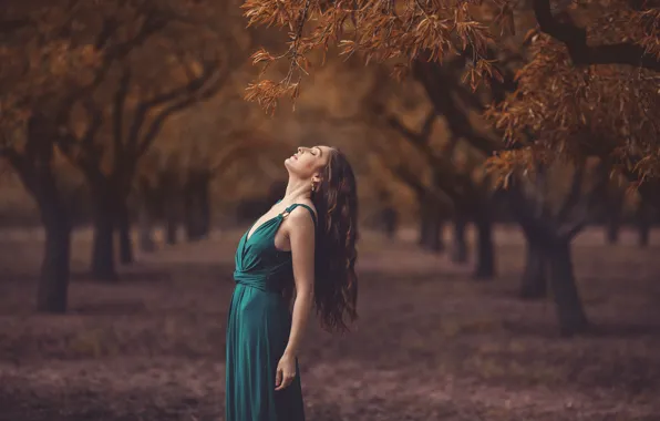 Картинка девушка, деревья, природа, платье, изгиб