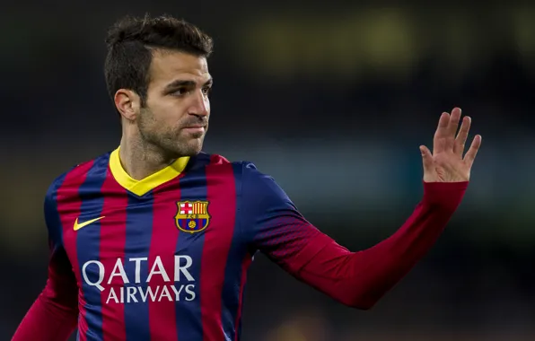Спорт, Футбол, Nike, Барселона, Фабрегас, Fabregas, Football, Spain