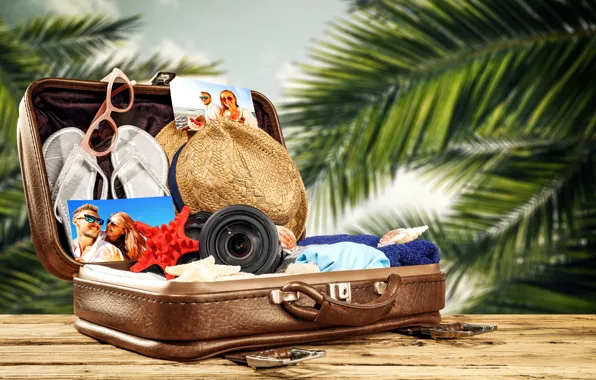 Картинка солнце, пальмы, одежда, отпуск, шляпа, очки, фотоаппарат, фотографии