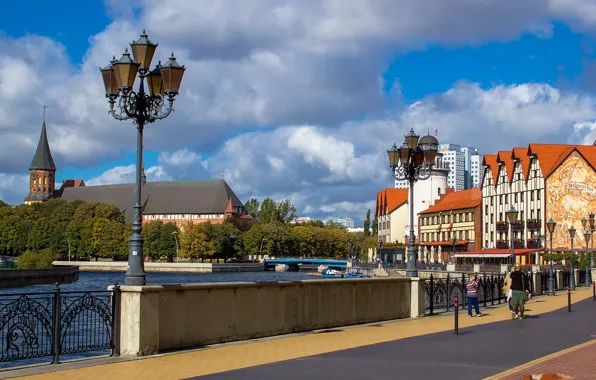 Картинка Россия, Калининград, Alla Poliakova