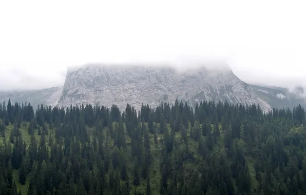Картинка облака, горы, Австрия, сосна, Бихльбах