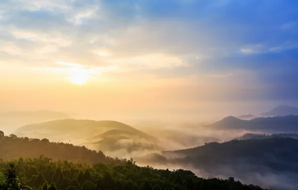 Пейзаж, природа, туман, утро