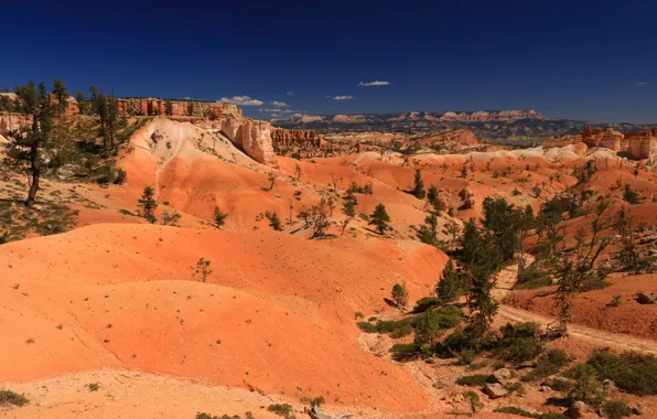 Скалы, пустыня, Юта, США, Bryce Canyon National Park