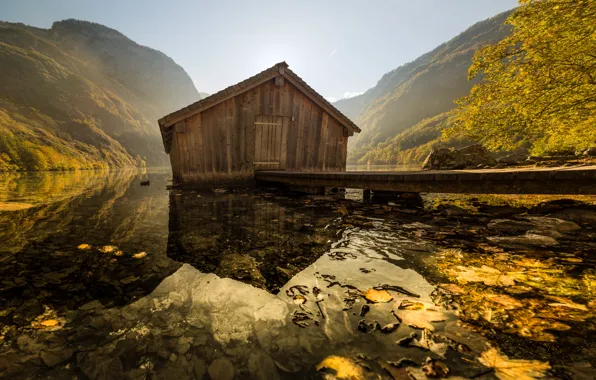 Осень, лес, листья, вода, свет, горы, отражение, холмы