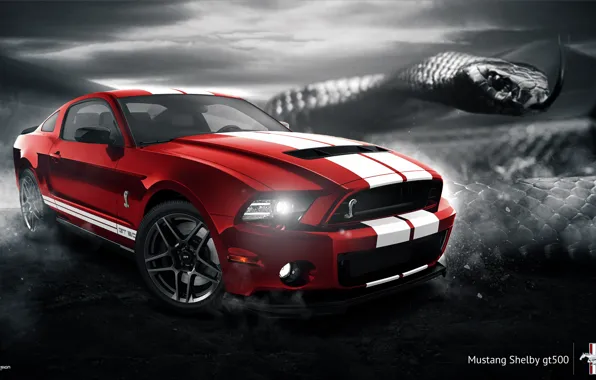 Mustang, Ford, Shelby, GT500, Muscle, Red, Car, Snake