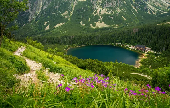 Картинка пейзаж, природа, красота